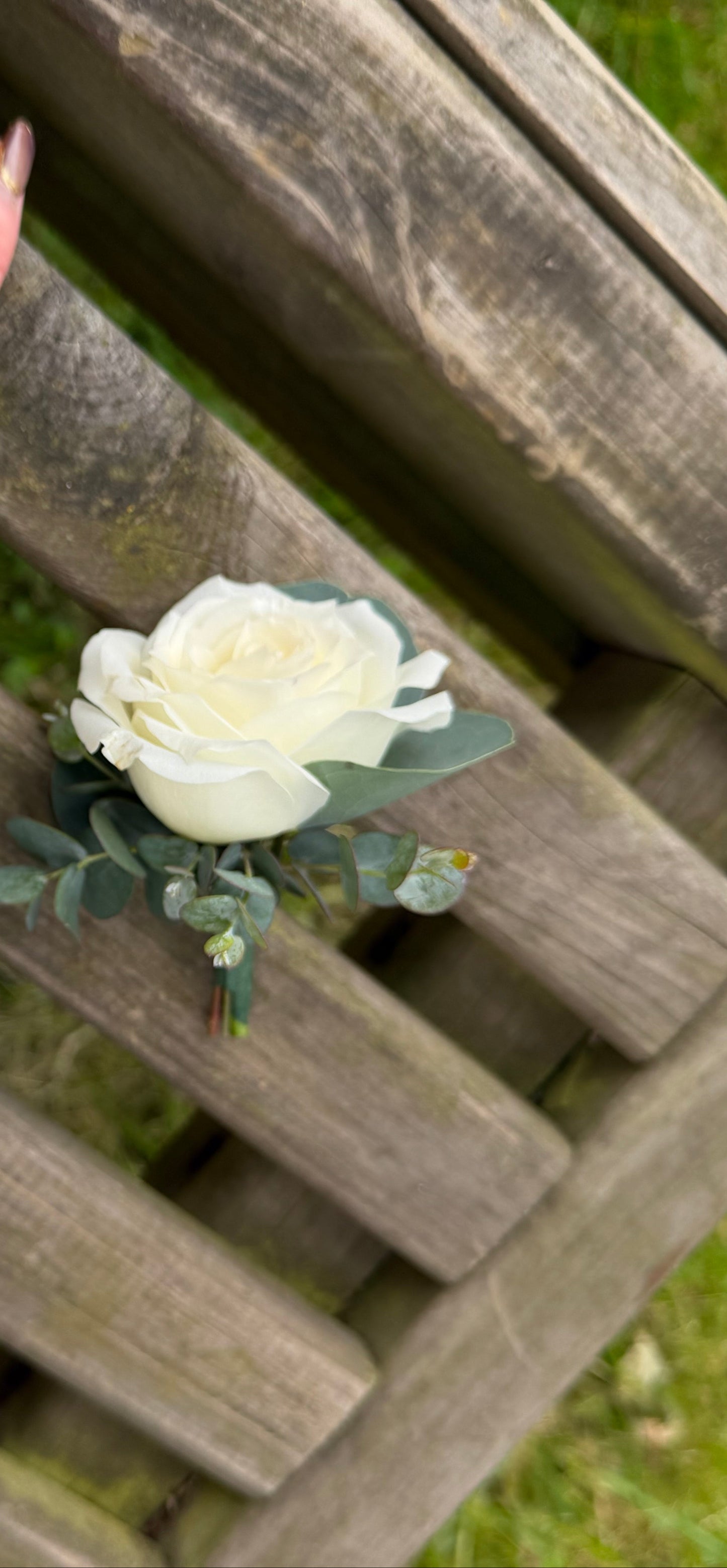 Buttonholes